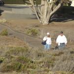 cambria2014_091 (October 25, 2013)